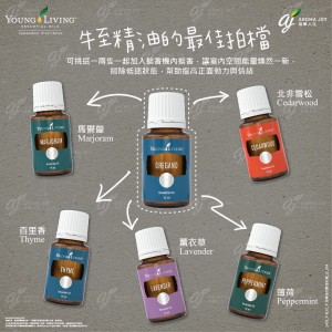 牛至精油的最佳拍檔